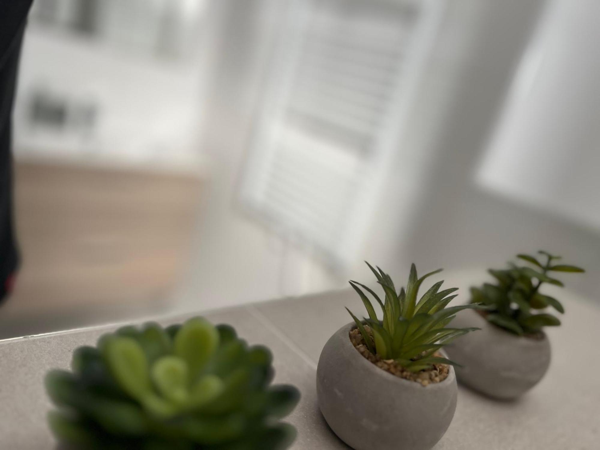 Apartmany Catalina Nesvady Exteriör bild